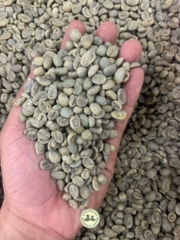 Arabica Indonesia Gayo Fully Washed G1 - Stupiducks Specialty Coffee