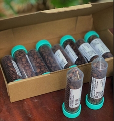 Việt Nam Arabica Đà Lạt Fully Washed SHG Lotus (high quality) - Stupiducks Specialty Coffee