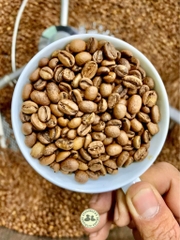 Cà Phê Mùa Xuân Spring Floral Mist 3 Regions Blend - Stupiducks Specialty Coffee ( SSC Roaster)