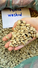 Cà Phê Đặc Sản Việt Nam Arabica Trạm Hành pha Pour Over, Cold Brew và Espresso - Stupiducks Specialty Coffee ( SSC Roaster)