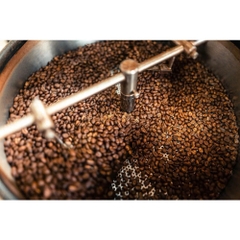 Yellow Solis Mango & Lychee ( Sunday) - Stupiducks Specialty Coffee ( SSC Roaster)