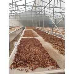 Violet of Thor Jasmine & Strawberry ( Thursday) - Stupiducks Specialty Coffee ( SSC Roaster)