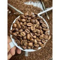 Yellow Solis Mango & Lychee ( Sunday) - Stupiducks Specialty Coffee ( SSC Roaster)