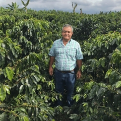 Colombia Mint Essence Santa Monica - Stupiducks Specialty Coffee ( SSC Roaster)
