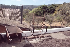 Specialty Coffee Brazil Candy Blossom Fazenda Recanto - Stupiducks Specialty Coffee