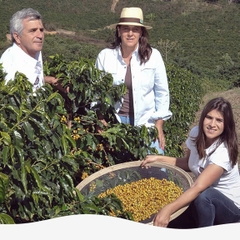 Specialty Coffee Brazil Candy Blossom Fazenda Recanto - Stupiducks Specialty Coffee