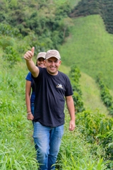 Colombia Sidra Johan Vergara Las Flores Washed Anaerobic - Stupiducks Specialty Coffee ( SSC Roaster)