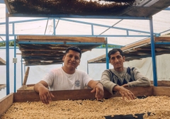 Drip Bag Peru Marshell Finca El Morito -  Cà Phê Phin Giấy Stupiducks