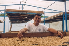 Drip Bag Peru Marshell Finca El Morito -  Cà Phê Phin Giấy Stupiducks