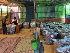 Drip Bag Ethiopia Yirgacheffe Idido Village Oro Yeast -  Cà Phê Phin Giấy Stupiducks