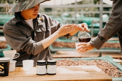 Việt Nam Fine Robusta Lâm Đồng Fruity Yeast Natural - Stupiducks Specialty Coffee (SSC Roaster)
