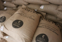 Panama Classical San Ramon Finca Eleta - Stupiducks Specialty Coffee ( SSC Roaster)
