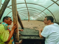 Blue Woden's Day Jasmine & Citrus ( Wednesday) - Stupiducks Specialty Coffee ( SSC Roaster)