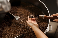 Rosie Champagne Huila La Herencia - Stupiducks Specialty Coffee ( SSC Roasters)