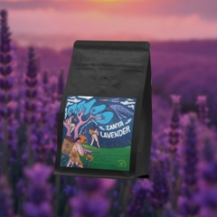 Việt Nam Specialty Coffee Zanya Lavender - C5 Coffee farm & roasters