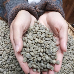 Việt Nam Specialty Coffee Zanya Lavender - C5 Coffee farm & roasters
