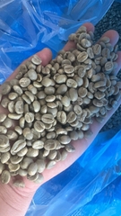 Green Apple & Kiwi Club - Stupiducks Specialty Coffee ( SSC Roaster)