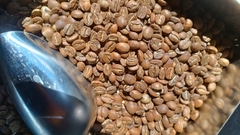 BLACK SHEEP SL28 Costa Rica Specialty Coffee- BEANSLINK Project
