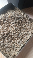 BLACK SHEEP SL28 Costa Rica Specialty Coffee- BEANSLINK Project