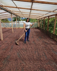 AMAZING Gesha/ Chili Bourbon/ Chiroso Colom Coffee - BEANSLINK Project
