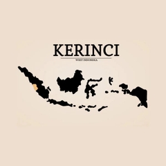 Indonesia Sumatra Kerinci Natural — Omni Roast by Stupiducks