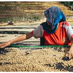 Guji Yabito Tome g1 - Stupiducks Specialty Coffee ( SSC Roaster)