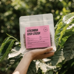 AMAZING Gesha/Sudan Rume/Chiroso Coffee - BEANSLINK Project
