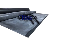 Tấm cao su và Ron cao su cho máy chụp bản UV