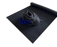 Tấm cao su và Ron cao su cho máy chụp bản UV