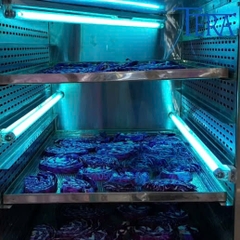 Bóng đèn UV diệt khuẩn chính hãng Philips