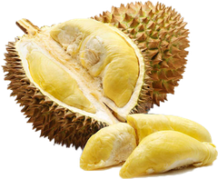 SẦU RIÊNG