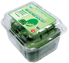 DƯA LEO NHẬT KICHI 207