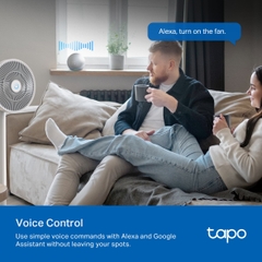 Ổ Cắm Thông Minh TP-Link Tapo P100 / P110M WiFi Điều Khiển Từ Xa, Hẹn Giờ, Hỗ Trợ Matter