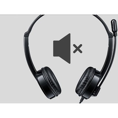 Tai Nghe Rapoo H120 Chụp Đầu Có Mic - USB