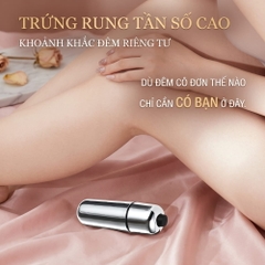 Đạn rung inox 1 chế độ