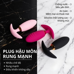 Plug hậu môn Boqi Mỏ Neo BQ23 Remote