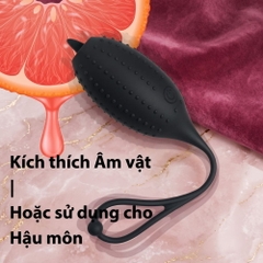 Trứng rung Boqi Cá Nóc BQ86 Remote