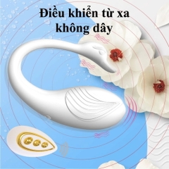 Trứng rung Boqi Swan BQ201 Remote