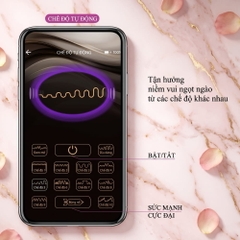 Chíp rung Pretty Love Franz remote massage chính hãng