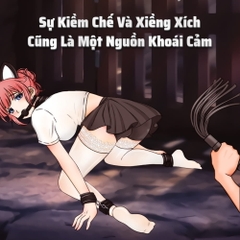 BDSM Bộ bạo dâm 10 món Jiuai