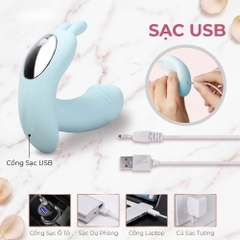 Chíp rung Little Dance remote