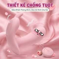 Chíp rung Little Dance remote