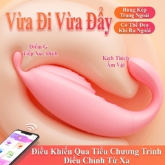 Chíp rung MizzZee Cá Voi App