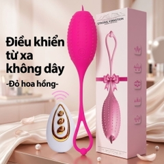 Trứng rung Boqi Cá Nóc BQ86 Remote