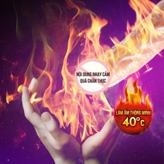Dương vật giả đa năng Ailighter