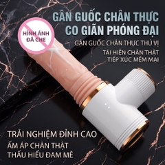 Dương vật giả hít tường đa năng Dibe Muscle Man