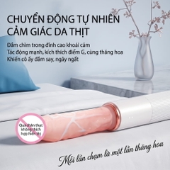 Dương vật giả hít tường đa năng Dibe Muscle Man
