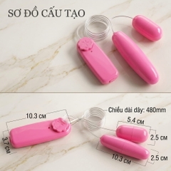 Trứng rung 2 đầu