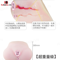 Âm đạo giả nguyên khối Drywell Mizuki Akane 5kg chính hãng