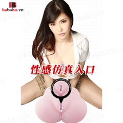 Âm đạo giả nguyên khối Drywell Mizuki Akane 5kg chính hãng